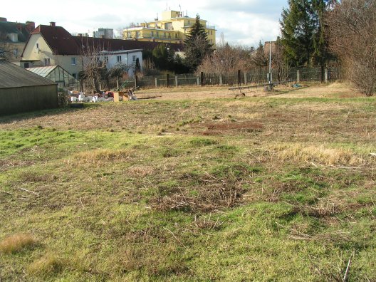 Sonnergasse wildwest