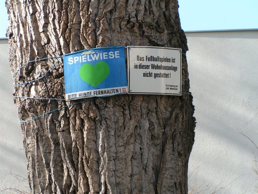 Spielwiese