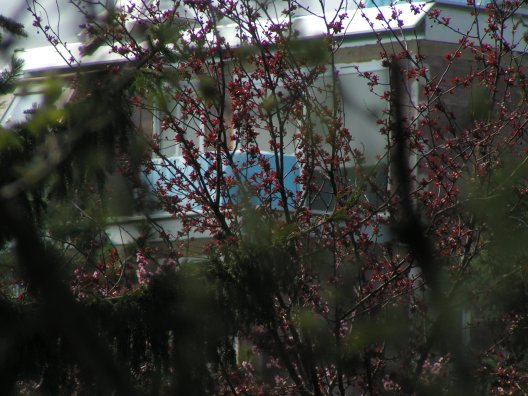 Sonnergasse 4 - Hinterhaus