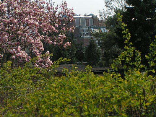 Sonnergasse 4 - Hinterhaus 